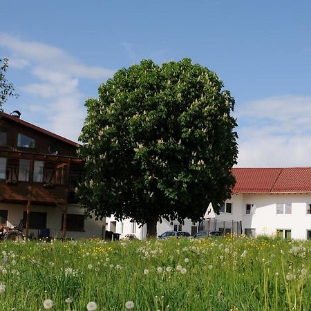 Ferienhof Hopfgaertle Mueller Bodnegg Dış mekan fotoğraf