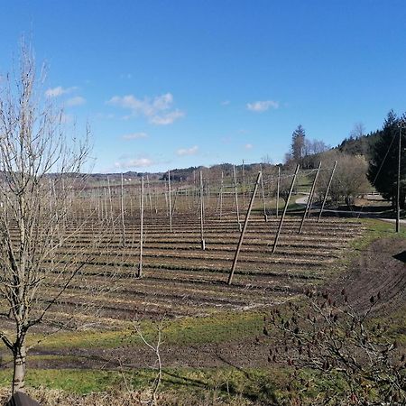 Ferienhof Hopfgaertle Mueller Bodnegg Dış mekan fotoğraf
