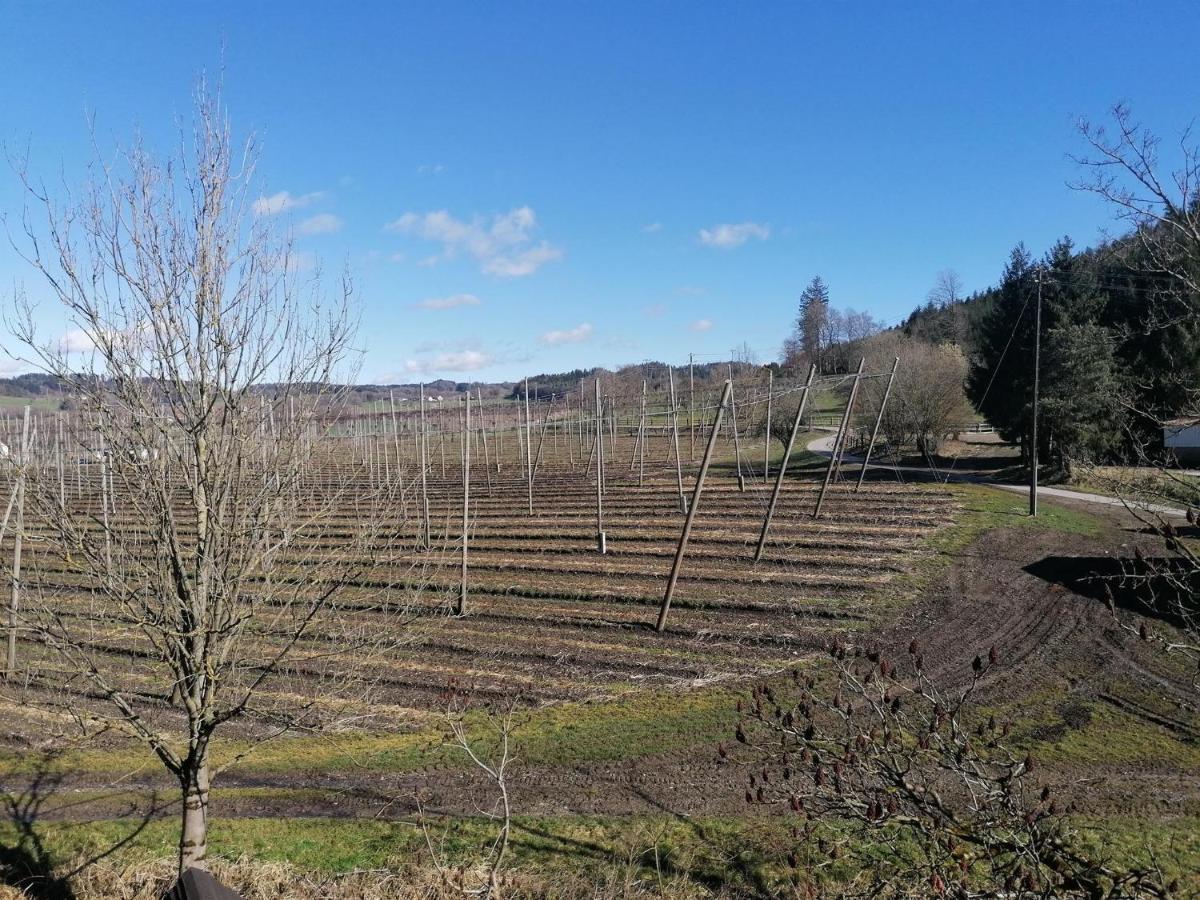 Ferienhof Hopfgaertle Mueller Bodnegg Oda fotoğraf