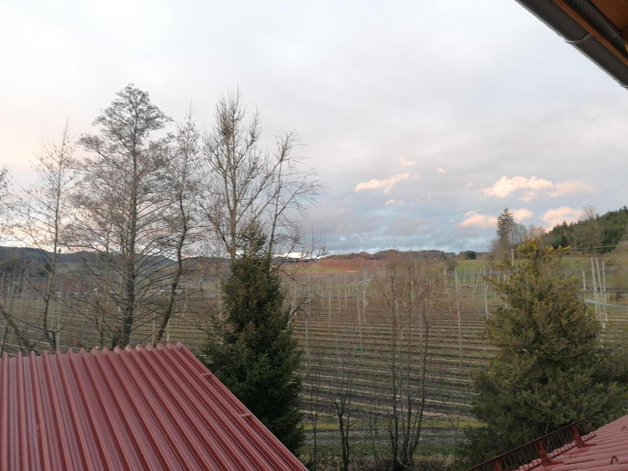 Ferienhof Hopfgaertle Mueller Bodnegg Oda fotoğraf